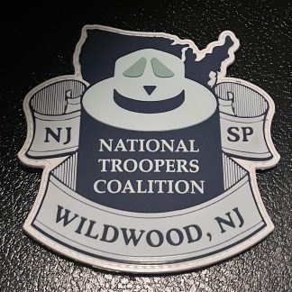 Official NTC Picnic PVC Patch 2021