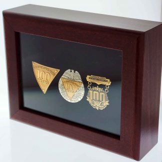NJSP 100th Anniversary Badge Set